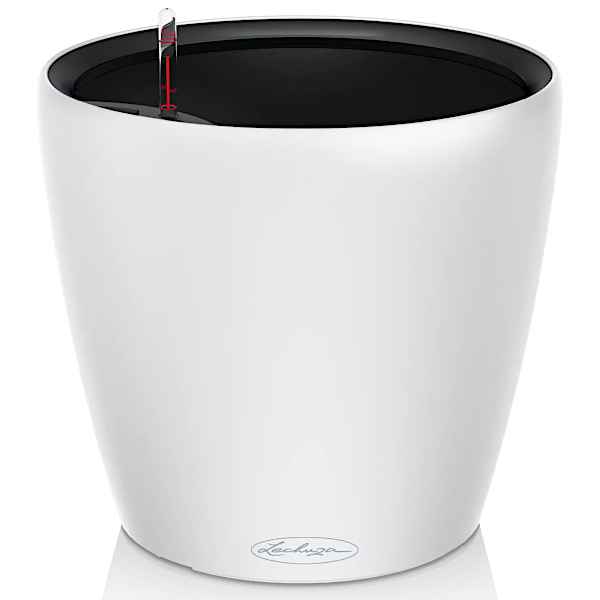 CLASSICO Color LS Λευκό - White